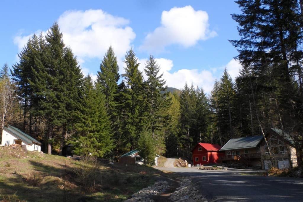 Mountainside Chalet - Tiny Home Packwood Kültér fotó