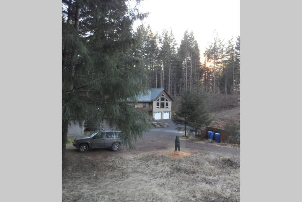 Mountainside Chalet - Tiny Home Packwood Kültér fotó