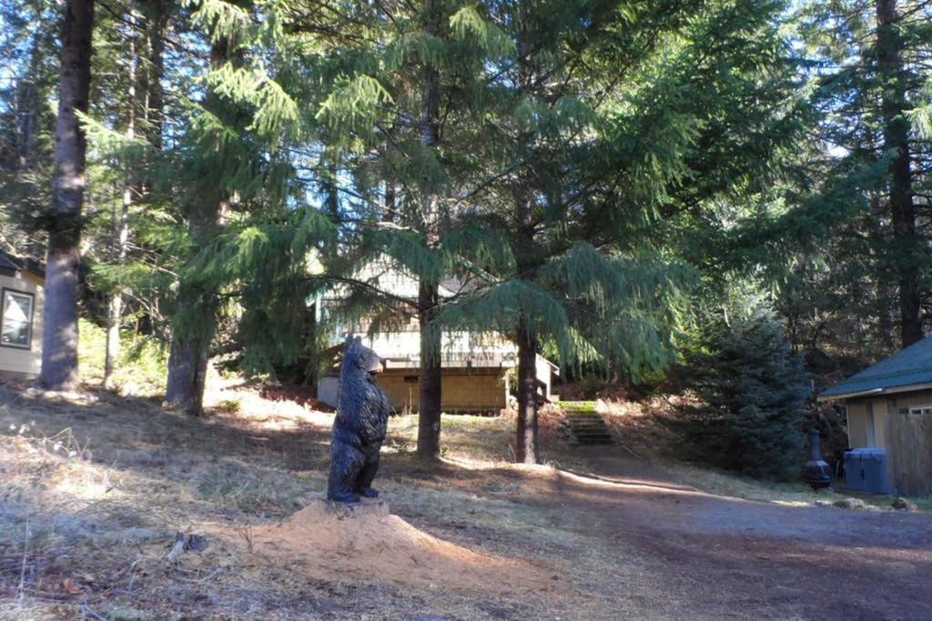 Mountainside Chalet - Tiny Home Packwood Kültér fotó