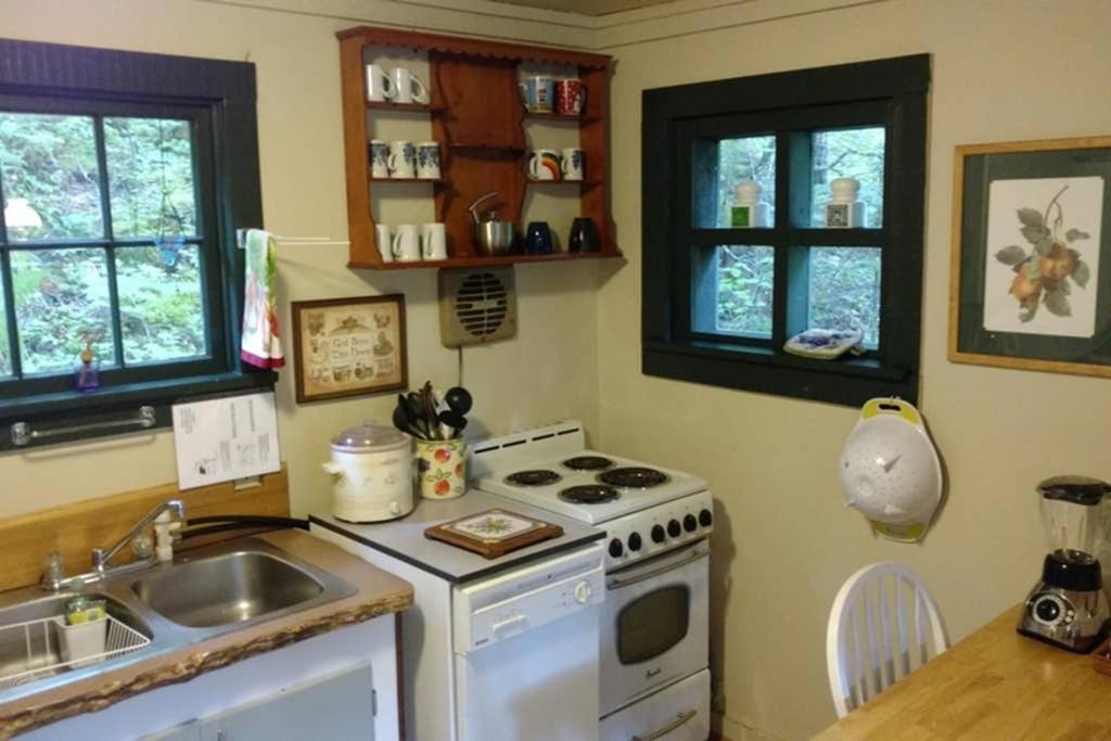 Mountainside Chalet - Tiny Home Packwood Kültér fotó